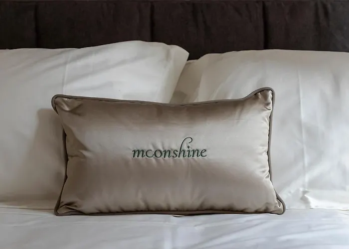 Moonshine - Nel Cuore Di Apartament *